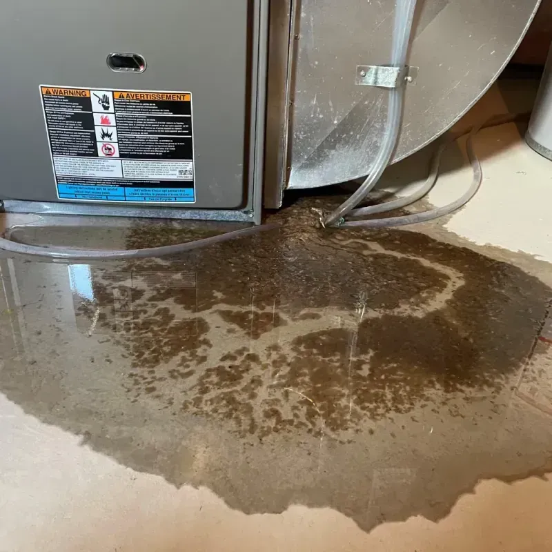 Appliance Leak Cleanup in Oak Lawn, IL